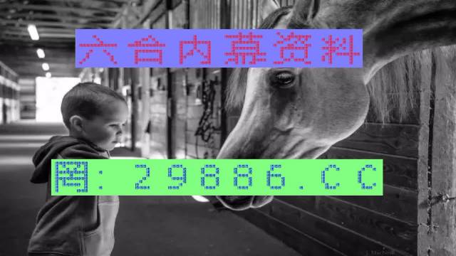 2025澳门买马最准网站和澳门管家婆100%精准,词语释义、解释与落实与警惕虚假宣传-全面释义、解释与落实