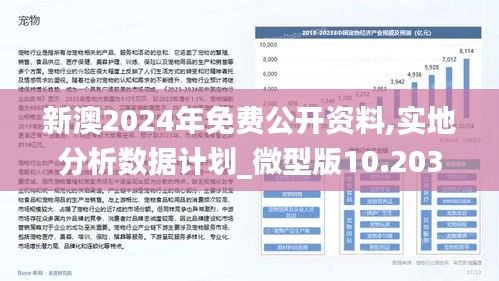 2025新澳正版今晚资料,词语释义、解释与落实与警惕虚假宣传