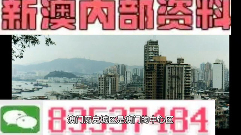 2025澳门精准正版免费大全四不像,精选解析、解释与落实