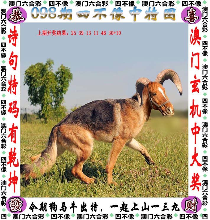 新澳2025最新版免费和2025澳门精准正版免费四不像和,全面释义、解释与落实与警惕虚假宣传-全面释义、解释与落实